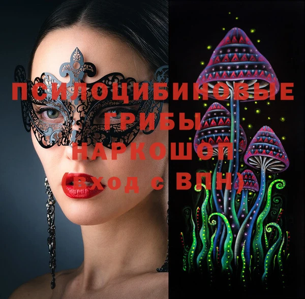 Альфа ПВП Каменка