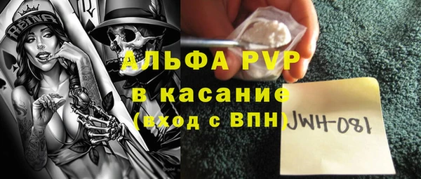 Альфа ПВП Каменка